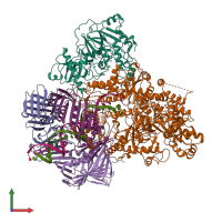 PDB entry 6knb coloured by chain, front view.