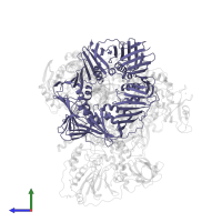 DNA polymerase sliding clamp 1 in PDB entry 6knc, assembly 1, side view.