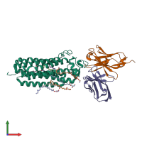 PDB entry 6ks1 coloured by chain, front view.