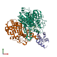 PDB entry 6kxf coloured by chain, front view.