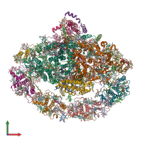 PDB entry 6l35 coloured by chain, front view.