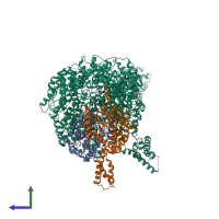 PDB entry 6l54 coloured by chain, side view.