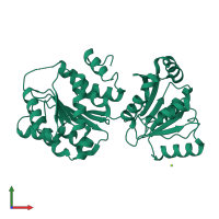 PDB entry 6l5l coloured by chain, front view.