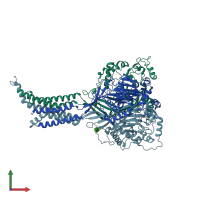 PDB entry 6l6i coloured by chain, front view.