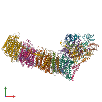 PDB entry 6l7o coloured by chain, front view.