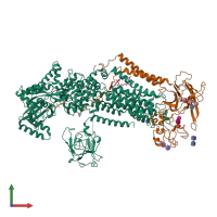 PDB entry 6lcr coloured by chain, front view.