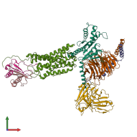 PDB entry 6lfm coloured by chain, front view.