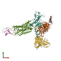 PDB entry 6lfo coloured by chain, front view.