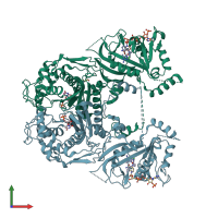 PDB entry 6lhi coloured by chain, front view.