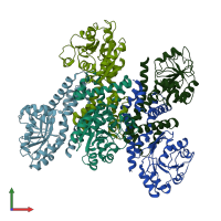 PDB entry 6lhm coloured by chain, front view.