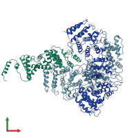 PDB entry 6lhw coloured by chain, front view.