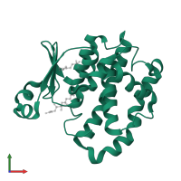 Glutathione S-transferase P in PDB entry 6llx, assembly 1, front view.