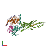 PDB entry 6lmk coloured by chain, front view.