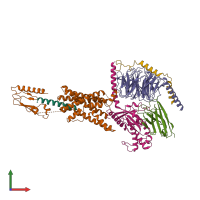 PDB entry 6lpb coloured by chain, front view.