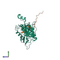 PDB entry 6lph coloured by chain, side view.