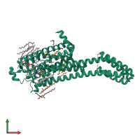 PDB entry 6lpk coloured by chain, front view.