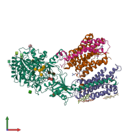 PDB entry 6lqg coloured by chain, front view.