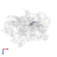 Small ribosomal subunit protein uS4A in PDB entry 6lqp, assembly 1, top view.