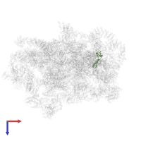 Small ribosomal subunit protein uS15 in PDB entry 6lqp, assembly 1, top view.