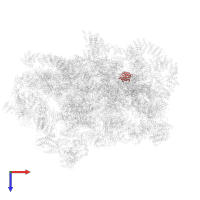 Small ribosomal subunit protein uS8B in PDB entry 6lqp, assembly 1, top view.