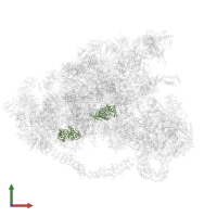 rRNA 2'-O-methyltransferase fibrillarin in PDB entry 6lqp, assembly 1, front view.