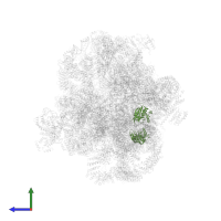 rRNA 2'-O-methyltransferase fibrillarin in PDB entry 6lqp, assembly 1, side view.