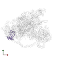 U3 small nucleolar RNA-associated protein 4 in PDB entry 6lqp, assembly 1, front view.