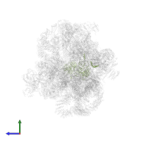 NET1-associated nuclear protein 1 in PDB entry 6lqp, assembly 1, side view.