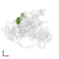 U3 small nucleolar RNA-associated protein 21 in PDB entry 6lqp, assembly 1, front view.