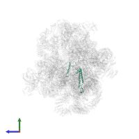 U3 small nucleolar RNA-associated protein 11 in PDB entry 6lqp, assembly 1, side view.