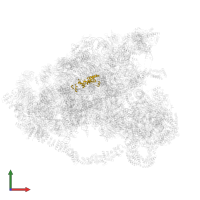 U3 small nucleolar ribonucleoprotein protein IMP3 in PDB entry 6lqp, assembly 1, front view.