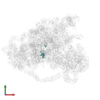 rRNA-processing protein FCF2 in PDB entry 6lqp, assembly 1, front view.