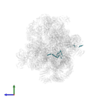 rRNA-processing protein FCF2 in PDB entry 6lqp, assembly 1, side view.