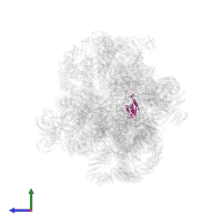 rRNA-processing protein FCF1 in PDB entry 6lqp, assembly 1, side view.