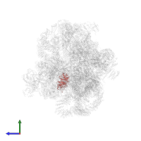 Ribosome biogenesis protein ENP2 in PDB entry 6lqp, assembly 1, side view.