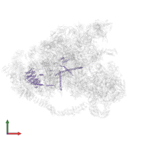 Nucleolar complex protein 14 in PDB entry 6lqp, assembly 1, front view.