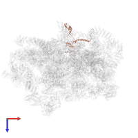 U3 small nucleolar RNA-associated protein 14 in PDB entry 6lqp, assembly 1, top view.