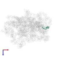 Small ribosomal subunit protein eS8A in PDB entry 6lqp, assembly 1, top view.