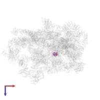 Small ribosomal subunit protein uS12A in PDB entry 6lqr, assembly 1, top view.