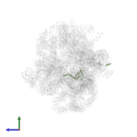 rRNA-processing protein FCF2 in PDB entry 6lqr, assembly 1, side view.