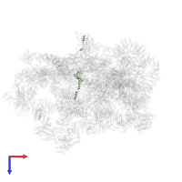 rRNA-processing protein FCF2 in PDB entry 6lqr, assembly 1, top view.