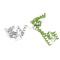 The deposited structure of PDB entry 6lqu contains 1 copy of Pfam domain PF01798 (snoRNA binding domain, fibrillarin) in Nucleolar protein 56. Showing 1 copy in chain V [auth 3D].