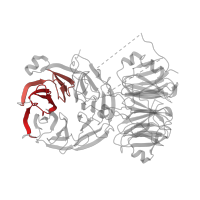 The deposited structure of PDB entry 6lqu contains 2 copies of Pfam domain PF00400 (WD domain, G-beta repeat) in U3 small nucleolar RNA-associated protein 4. Showing 2 copies in chain AA [auth A4].