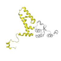The deposited structure of PDB entry 6lqu contains 1 copy of Pfam domain PF00163 (Ribosomal protein S4/S9 N-terminal domain) in U3 small nucleolar ribonucleoprotein protein IMP3. Showing 1 copy in chain RA [auth 5F].