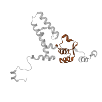 The deposited structure of PDB entry 6lqu contains 1 copy of Pfam domain PF01479 (S4 domain) in U3 small nucleolar ribonucleoprotein protein IMP3. Showing 1 copy in chain RA [auth 5F].