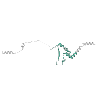 The deposited structure of PDB entry 6lqu contains 1 copy of Pfam domain PF08698 (Fcf2 pre-rRNA processing) in rRNA-processing protein FCF2. Showing 1 copy in chain VA [auth 5J].