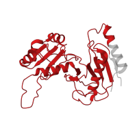 The deposited structure of PDB entry 6lqu contains 1 copy of Pfam domain PF00687 (Ribosomal protein L1p/L10e family) in Ribosome biogenesis protein UTP30. Showing 1 copy in chain FB [auth RI].
