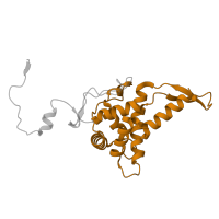 The deposited structure of PDB entry 6lqu contains 1 copy of Pfam domain PF00177 (Ribosomal protein S7p/S5e) in Small ribosomal subunit protein uS7. Showing 1 copy in chain E [auth SG].