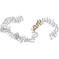 The deposited structure of PDB entry 6lqu contains 1 copy of Pfam domain PF20416 (U3 small nucleolar RNA-associated protein 20, C-terminal) in U3 small nucleolar RNA-associated protein 20. Showing 1 copy in chain MB [auth RP].