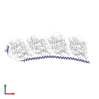 Stathmin-4 in PDB entry 6ls4, assembly 1, front view.